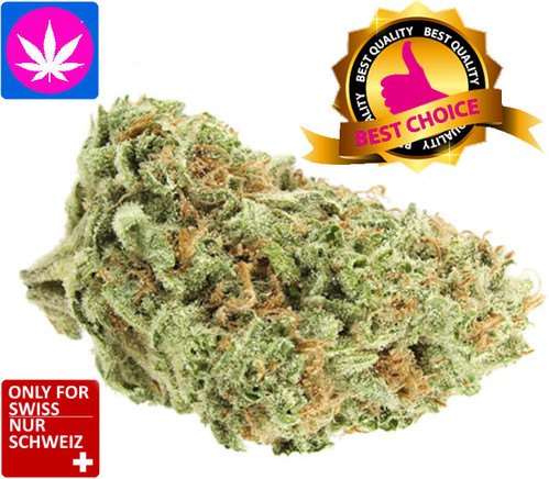 CBDV CBD Blüten Amnesia Cheese Haze