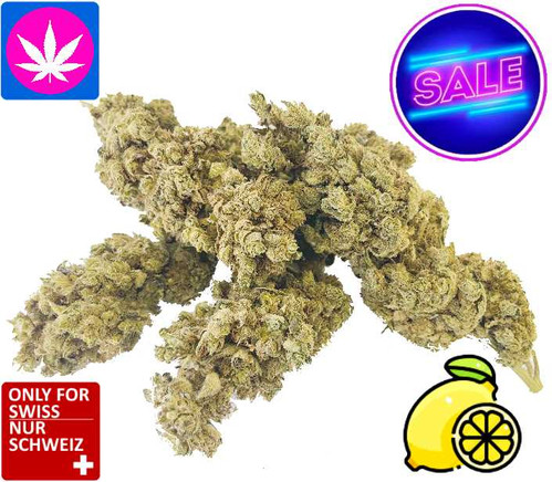 CBD Blüten Lemon Kush kaufen
