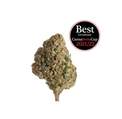 CBD Arancia Tonic Glashaus | Ab CHF 1.60/gr