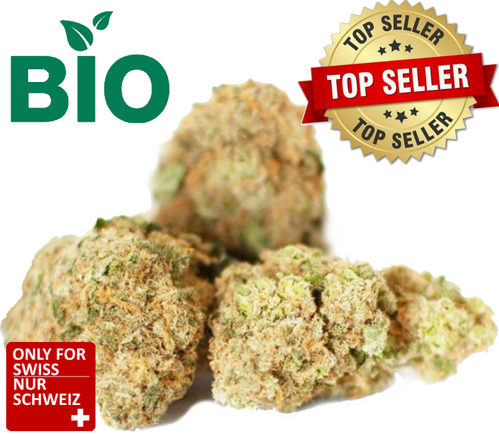 CBD Blüten BIO Cannatonic Canna Dream