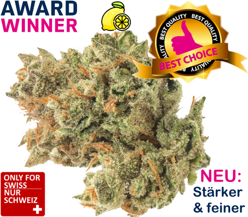 Lemon Haze CBD Blüten
