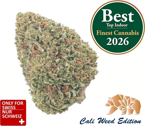 Bubba Kush CBD Blüten – Premium Indoor mit bis zu 28 % CBD
