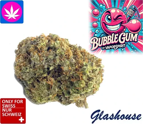 Bubble Gum CBD Blüten – natürlich und fein
