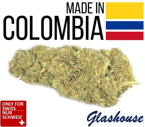 CBD Blood Orange Tangie kaufen Schweiz