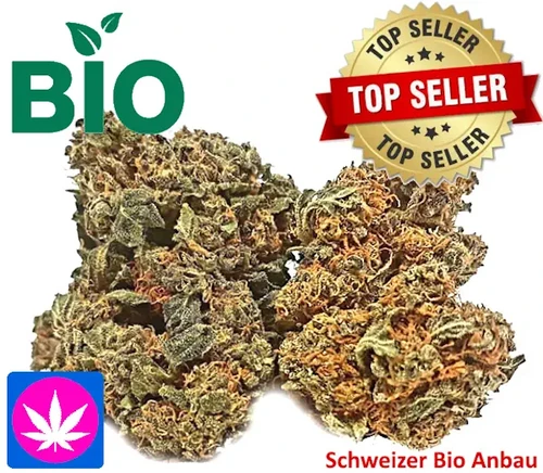 Erdbeerli CBD Blüten Treibhaus