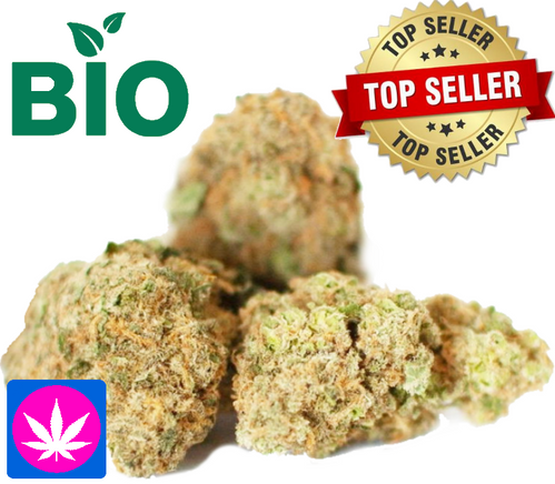 CBD Cannadream Bio Glashaus Blüten