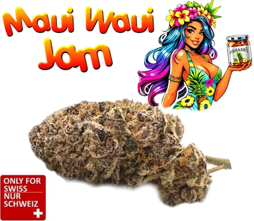 CBD Blüten Indoor Maui Waui Jam