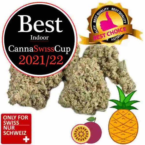 CBD Cup Blüten Pineapple Canna Swiss