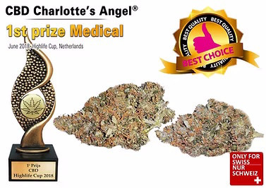 CBD Blüten Charlotte's Angel