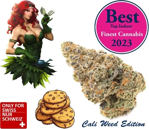 CBD Girls Scout Cookies - CBD Blüten