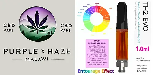 Full Spectrum CBD Vape Pen – Purple Haze x Malawi Live Resin