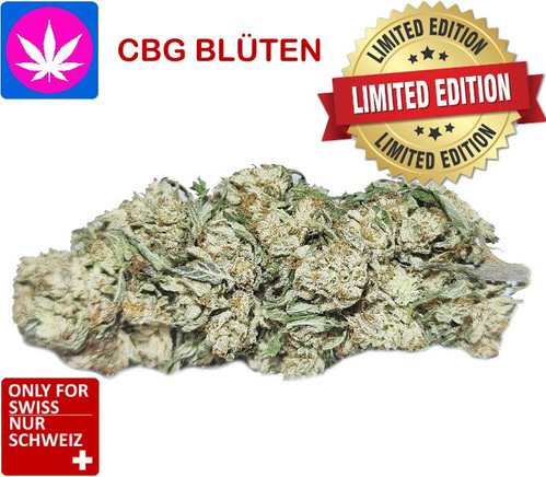 CBG Blüten Schweiz, White Widow Treibhaus
