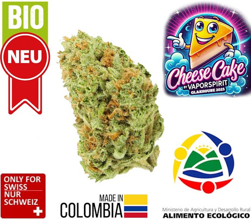 Cheese Cake CBD Blüten – stark und harzig !