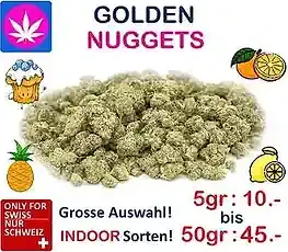 Golden Nuggets CBD Blüten Gross und klein