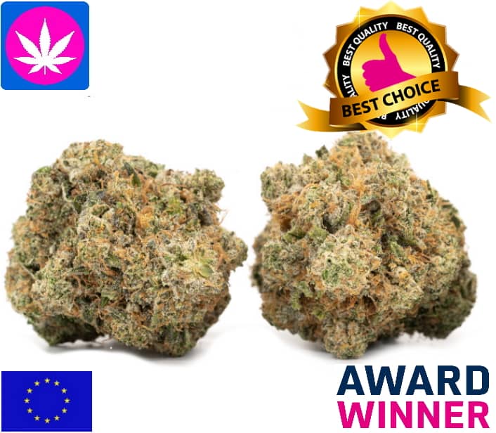 Gorilla Glue CBD Aromablüten – Premium Qualität 250g