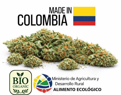 Greenhouse Bio CBD Blüten – Wilde Kush