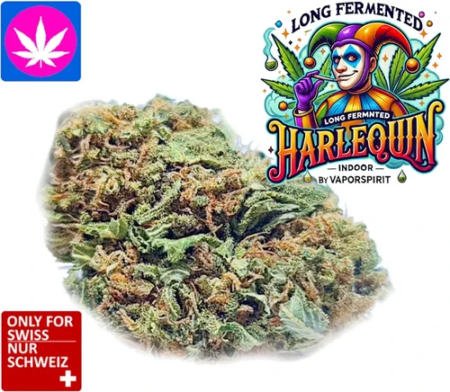 Harlequin CBD Weed - günstiges Indoor