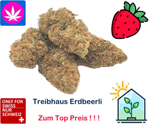 CBD Blüten Erdbeerli Haze Berry
