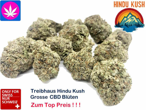 Grosse Buds Hindu Kush CBD | Ab CHF 0.38/gr