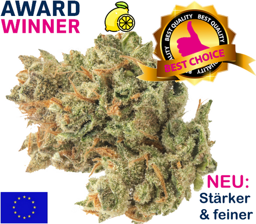 Super Lemon Haze CBD Blüten