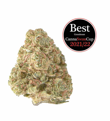 Limon Haze CBD Glashaus | Ab: CHF 1.60/gr. | 2gr.-500gr.