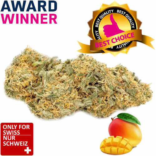 CBD Blüten Mango Haze Indoor Sativa-Blüten