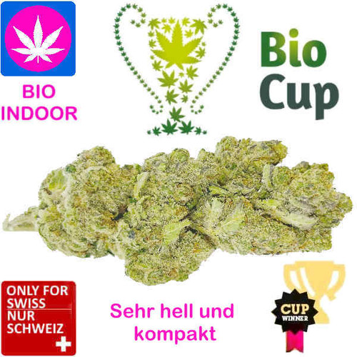 Northern Lights Haze CBD Blüten kaufen