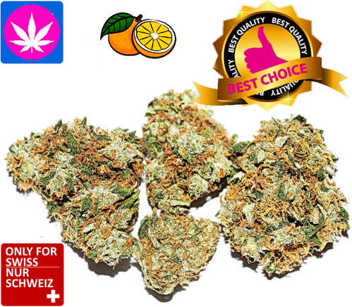 Orange Bud CBD Blüten Indoor