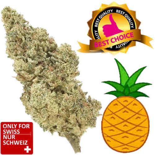 CBD Blüten Pineapple Express kaufen