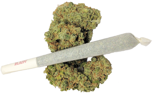 Pre-Roll CBD Joint kaufen Harlequin