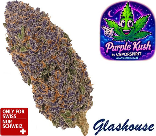 CBD Blüten Purple Kush Glashaus