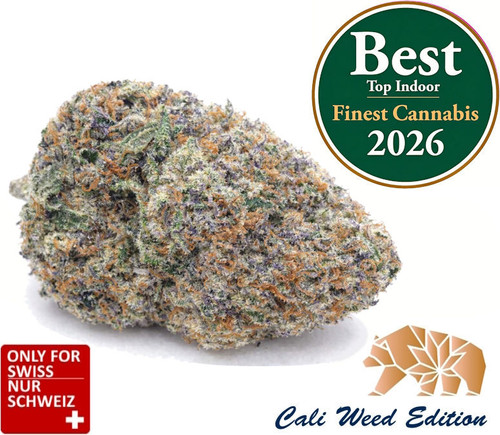 Runtz CBD Blüten – Premium Indoor aus der Schweiz