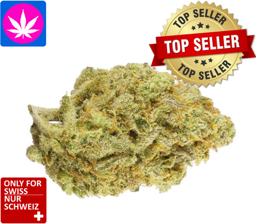 Super Citro Haze Glashaus CBD Blüten