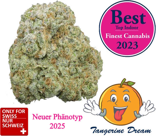 Tangerine Dream Strain CBD - Deep Mandarin