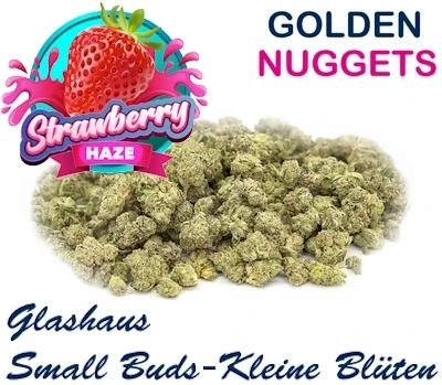 Thcp acheter Thc p achat