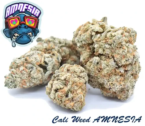 THCP Blüten | Online Shop