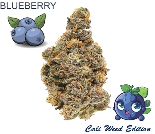 Thcp kaufen Deutschland - Blüten Shop