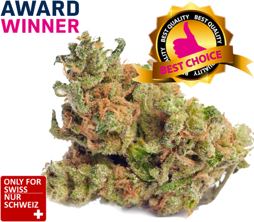 Super Harlequin CBD Blüten günstig kaufen